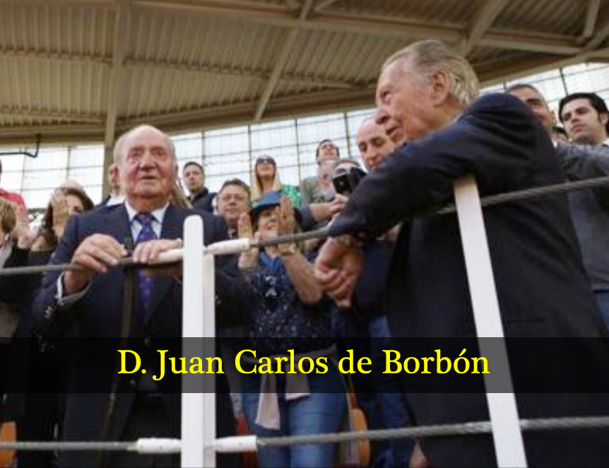 Julio Ayesa Juan Carlos de Borbón